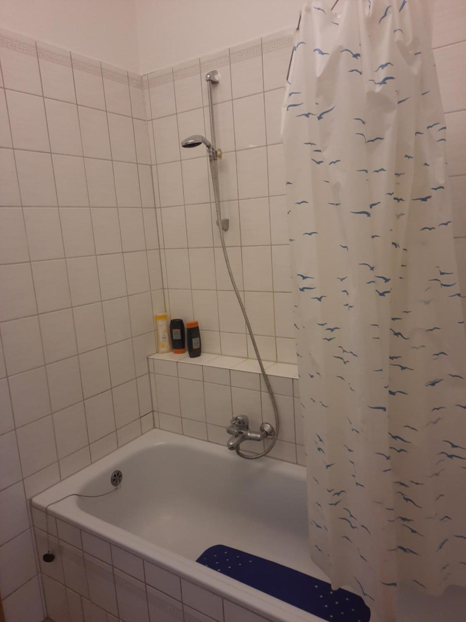 Wagner Apartment